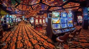 cz77 Live Casino